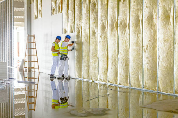Types of Insulation We Offer in Coplay, PA